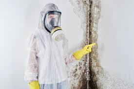 Best Emergency Mold Remediation  in Lititz, PA